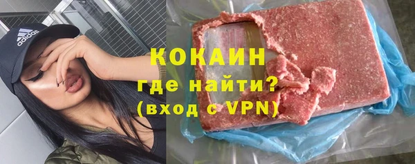 МДПВ Пересвет
